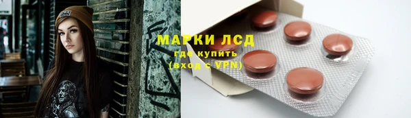 стафф Арсеньев