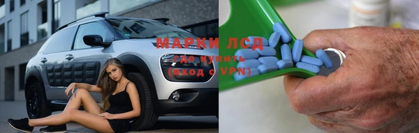 стафф Арсеньев