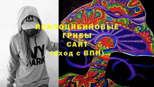2c-b Армянск