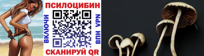 Галлюциногенные грибы ЛСД  ссылка на мегу tor  Менделеевск  где продают наркотики 